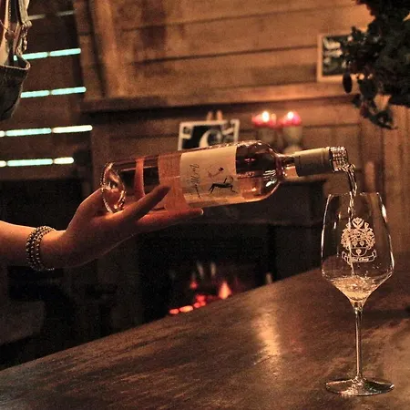 Hotel Boutique Met Tapperij Elburg